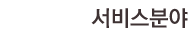 서비스분야